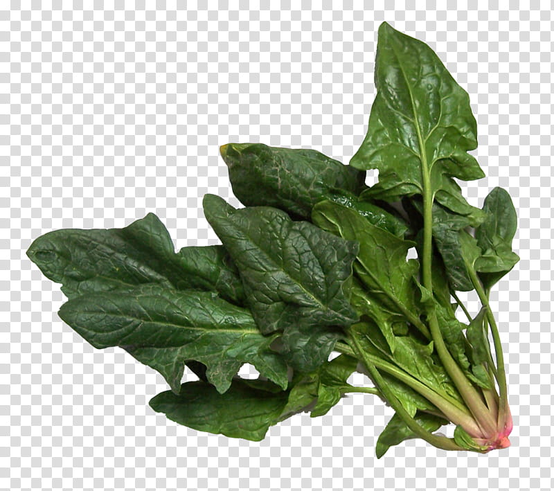 Flower, Spinach, Spinach Salad, Vegetable, Greens, Chard, Ingredient, Leaf transparent background PNG clipart