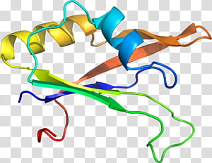 Line, Point, Area transparent background PNG clipart thumbnail