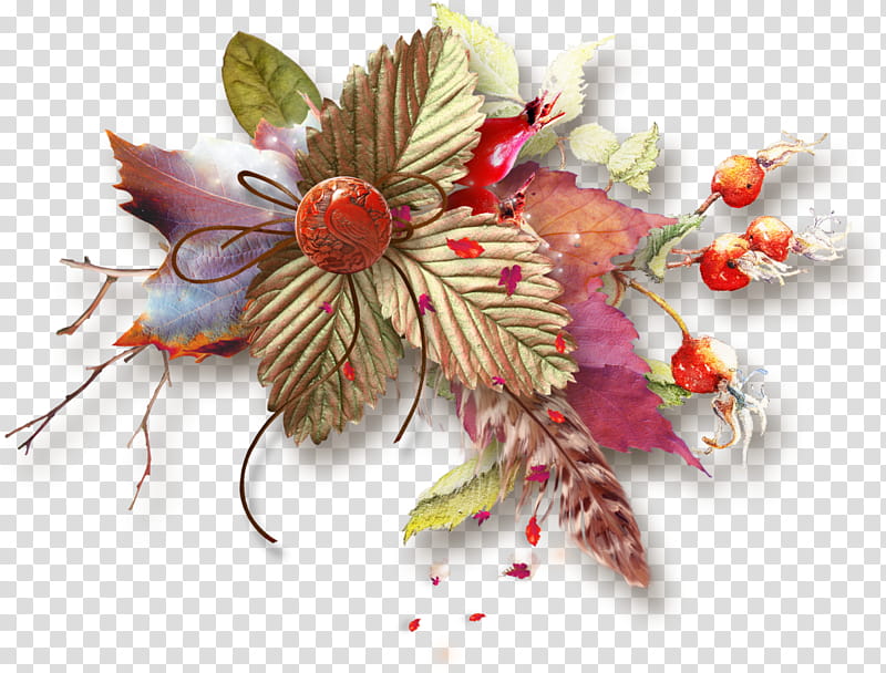 Flowers, Fashion, Autumn, Floral Design, Blog, Painting, Frames, Television transparent background PNG clipart