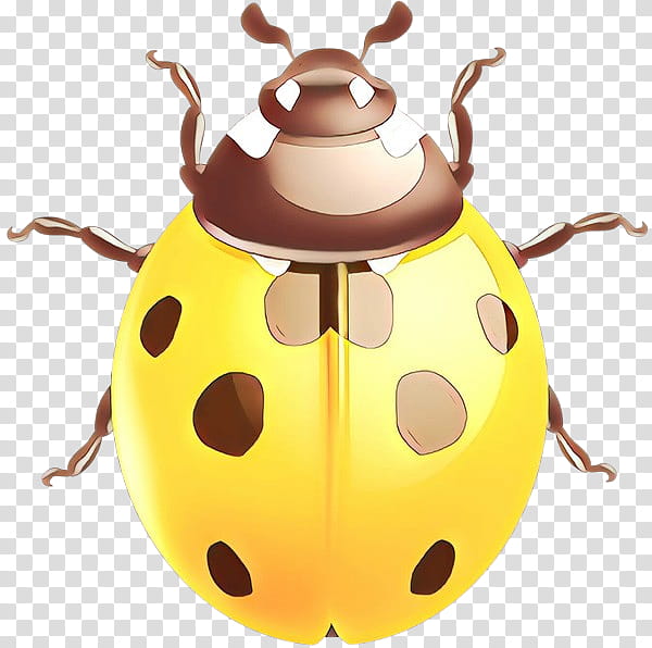 insect yellow beetle leaf beetle darkling beetles, Cartoon transparent background PNG clipart
