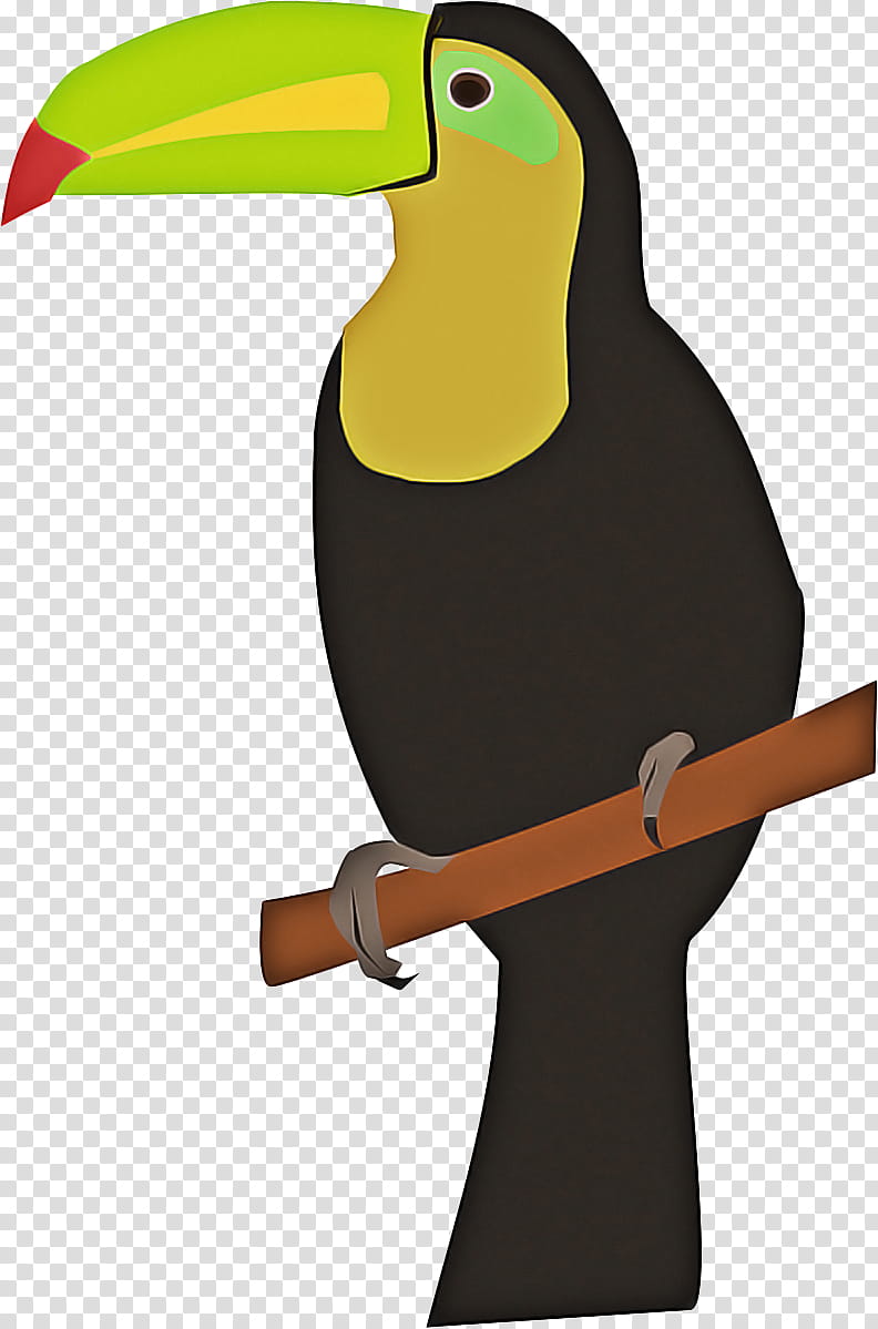 Hornbill Bird, Toucan, Toco Toucan, Beak, Drawing, Greenbilled Toucan, Keelbilled Toucan, Piciformes transparent background PNG clipart