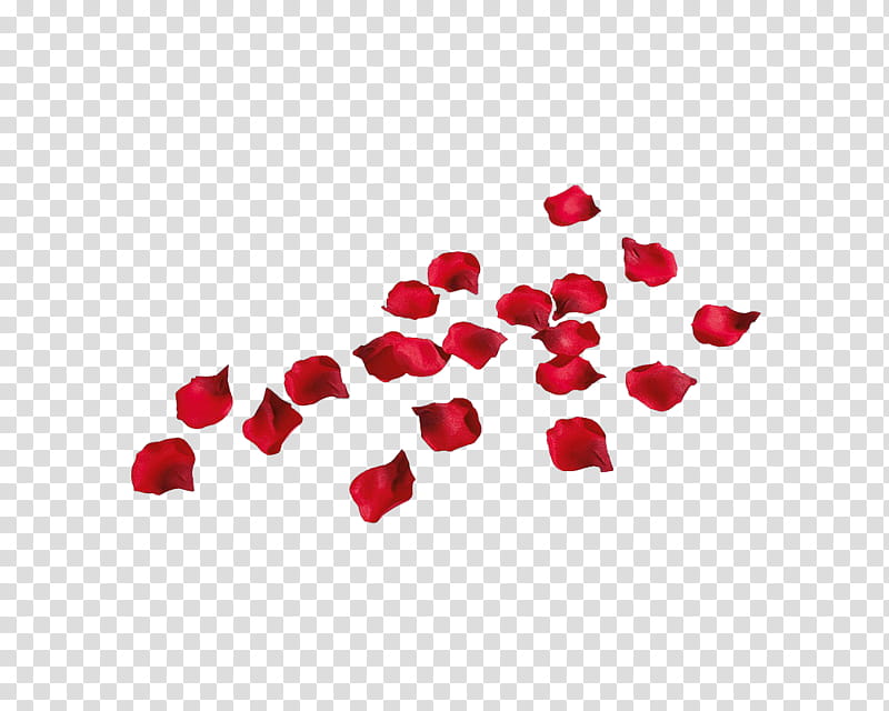 Petalos, red flower petal transparent background PNG clipart