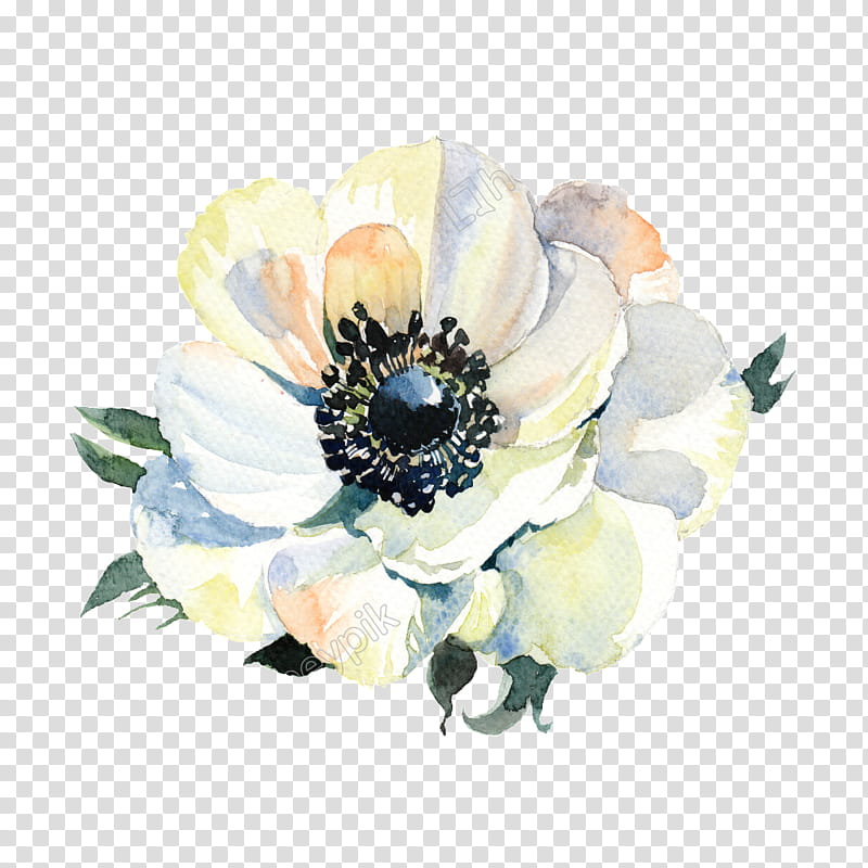 Oil Painting Flower, Watercolor Flowers, Watercolor Painting, Cut Flowers, Plant, Flower Bouquet, Rose Family, Flower Arranging transparent background PNG clipart