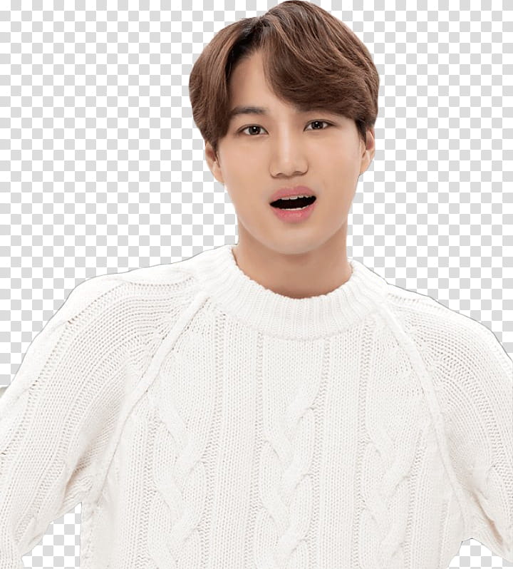 Kai EXO LOVE PLANET transparent background PNG clipart