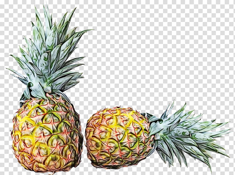 Fruit, Pineapple, Tropical Fruit, Clausena Lansium, Food, Tropical Climate, Papaya, Fruit Salad transparent background PNG clipart