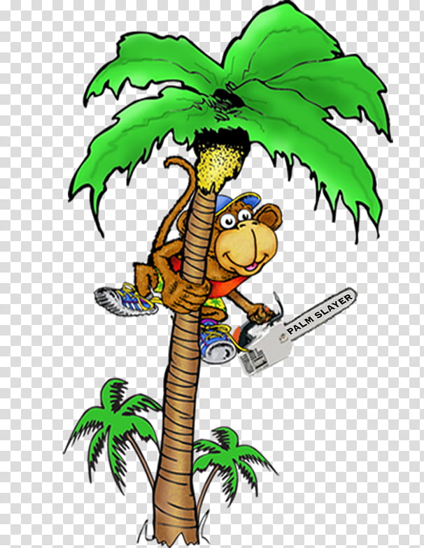 Coconut Tree, Palminators, Palm Trees, Asian Palmyra Palm, Monkey, Shrub, Cartoon, Monkey Puzzle Tree transparent background PNG clipart