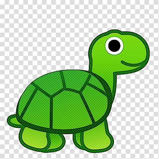 Sea Turtle, Tortoise, Green, Animal, Meter, Green Sea Turtle, Reptile, Cartoon transparent background PNG clipart