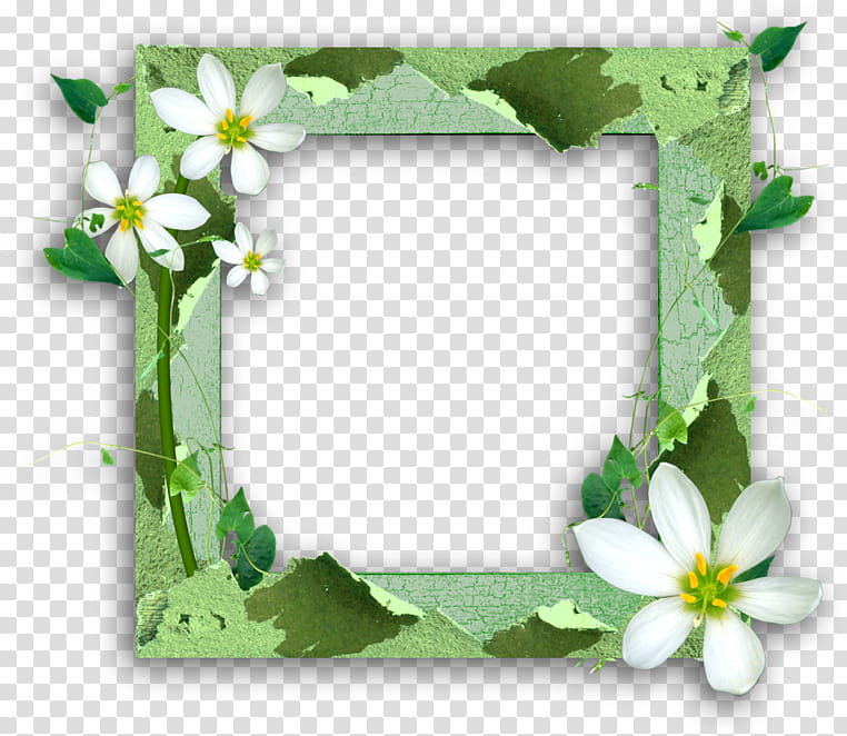 Green Background Frame, Frames, Paper, Cuadro, Scrapbooking, montage, grapher, Digital Scrapbooking transparent background PNG clipart