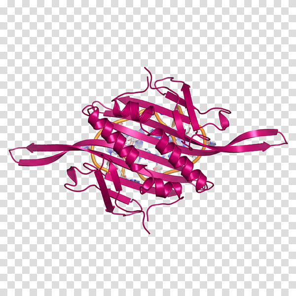 Graphic, Bacteriophage, Bacteriophage Ms2, Rna, Virus, Capsid, Dna, Phage Therapy transparent background PNG clipart