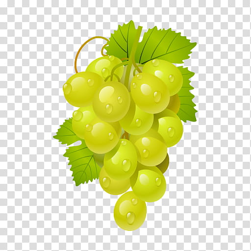 Grape, Common Grape Vine, La Cura De La Uva, Sultana, Wine, Zante Currant, Grape Leaves, Grape Therapy transparent background PNG clipart