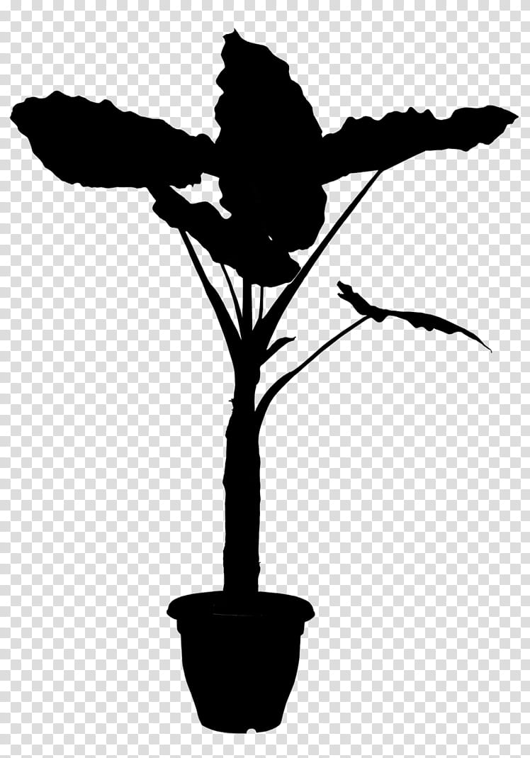 Black Tree, Plants, Flower, Plant Stem, Name, Penjing, Rhythm, Nursing Home transparent background PNG clipart