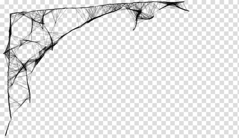 Cobweb transparent background PNG clipart