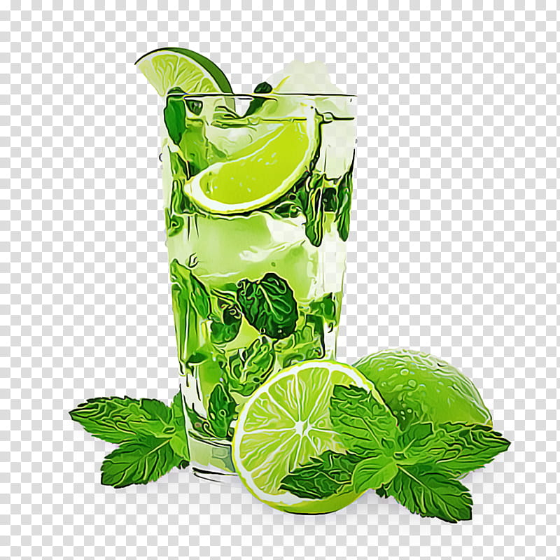 Mojito, Limonana, Highball Glass, Lime, Persian Lime, Plant, Leaf, Drink transparent background PNG clipart