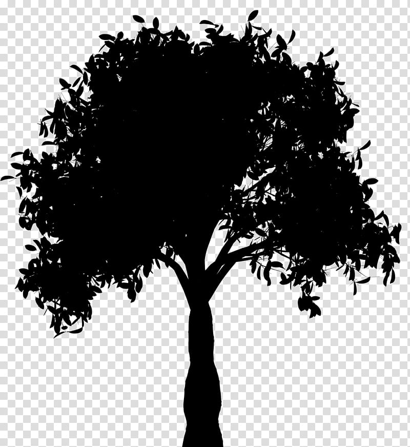Tree Branch Silhouette, Peachtree Catering, New Orleans, Trunk, Woody Plant, Leaf, Plant Stem transparent background PNG clipart
