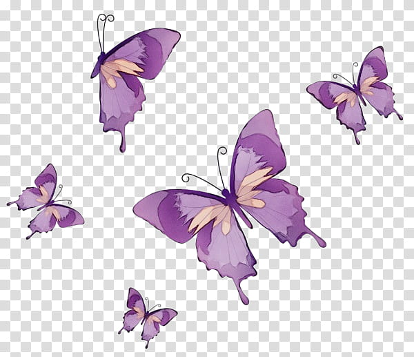 Purple Watercolor Flower, Paint, Wet Ink, Brushfooted Butterflies, Monarch Butterfly, Lilac, Red, Tiger Milkweed Butterflies transparent background PNG clipart