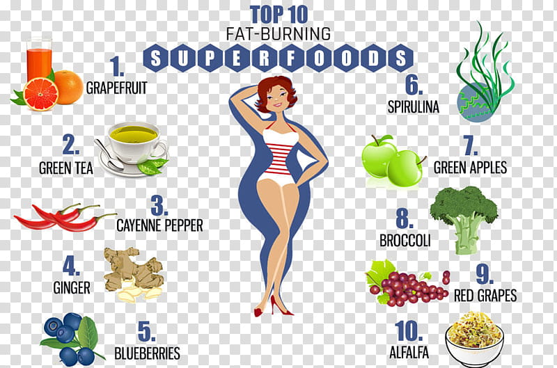 Obesity, Weight Loss, Abdominal Obesity, Food, Highprotein Diet, Eating, Fat, Superfood transparent background PNG clipart