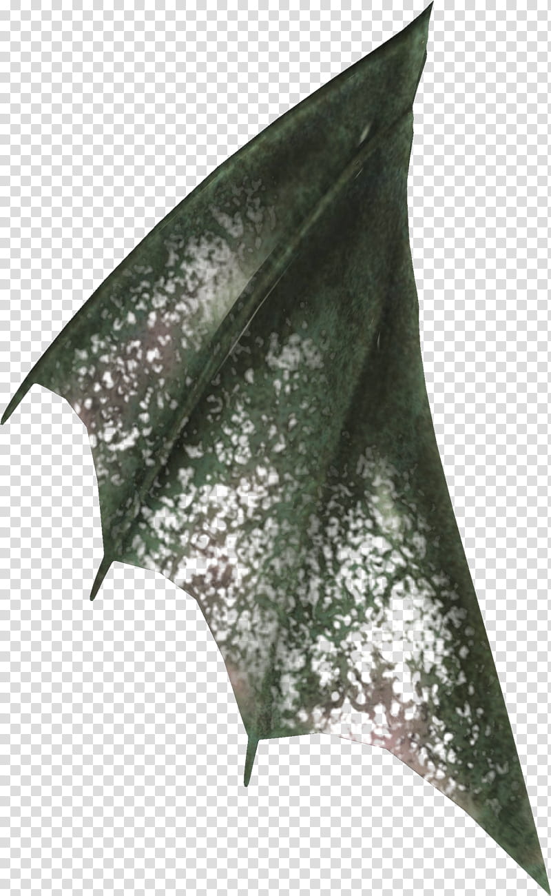 Fins, black bat wing transparent background PNG clipart