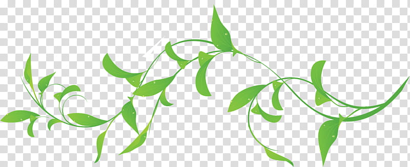 Flower Background Ribbon, Tote Bag, Handbag, Torta Mimosa, Green, Leaf, Plant, Flora transparent background PNG clipart