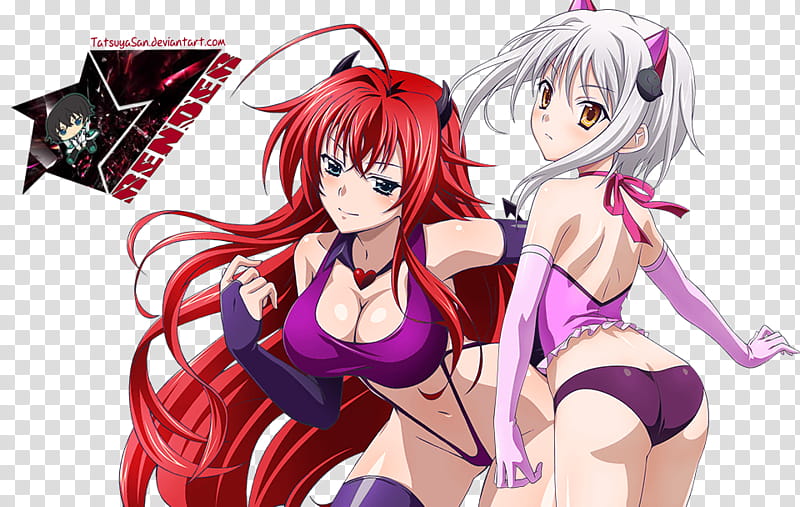 Rias and Koneko High School DxD New transparent background PNG clipart