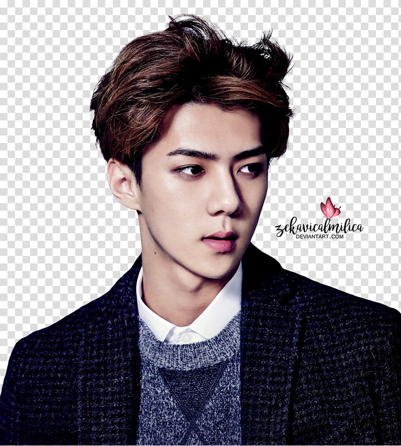 EXO Sehun  Season Greetings transparent background PNG clipart