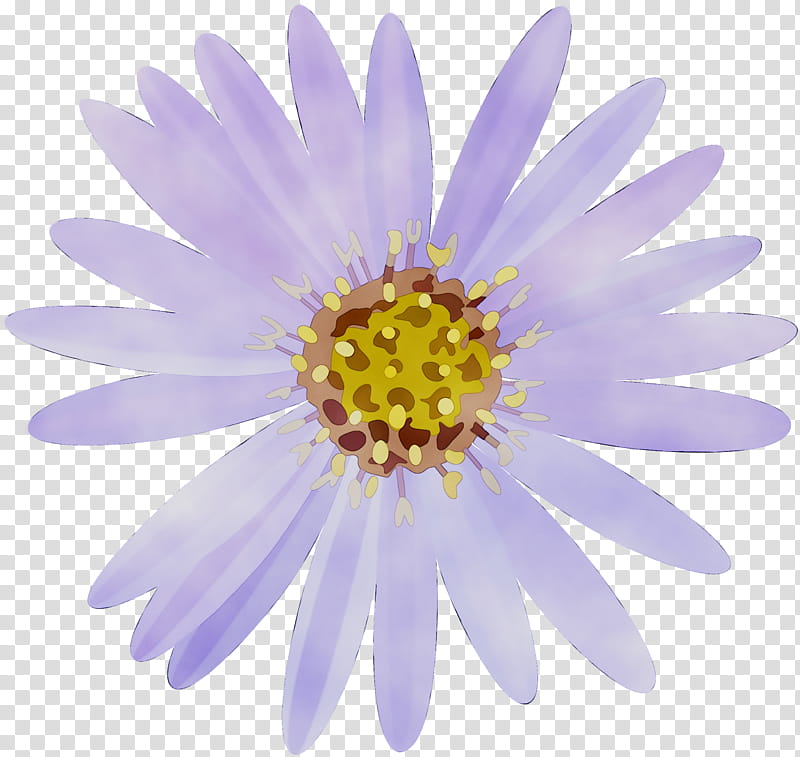 White Lily Flower, Cover Art, Petal, Daisy, Purple, Violet, Plant, Yellow transparent background PNG clipart