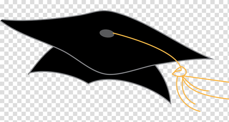 Graduation Cap, Graduation Ceremony, Saguaro High School, School
, Graduate University, Academic Degree, Academic Dress, Square Academic Cap transparent background PNG clipart