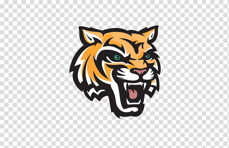 Basketball Logo, University Of Maine At Fort Kent, University Drive, Kent State University, Sports, University Of Maine Fort Kent Bengals, Bengal Tiger, Roar transparent background PNG clipart