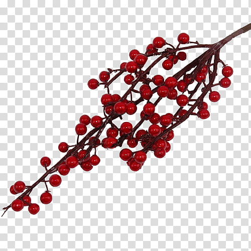 Christmas Tree Branch, Pink Peppercorn, Jewellery, Brazilian Peppertree, Black Pepper, Fruit, Body Jewellery, Berries transparent background PNG clipart