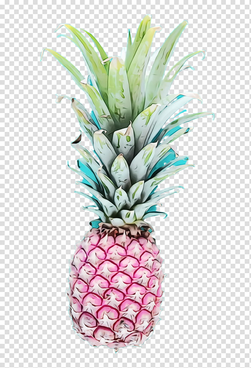 Watercolor Plant, Paint, Wet Ink, Pineapple, Ananas, Fruit, Poales, Food transparent background PNG clipart