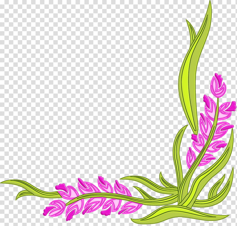 flower plant pedicel cut flowers gladiolus, Watercolor, Paint, Wet Ink, Plant Stem transparent background PNG clipart