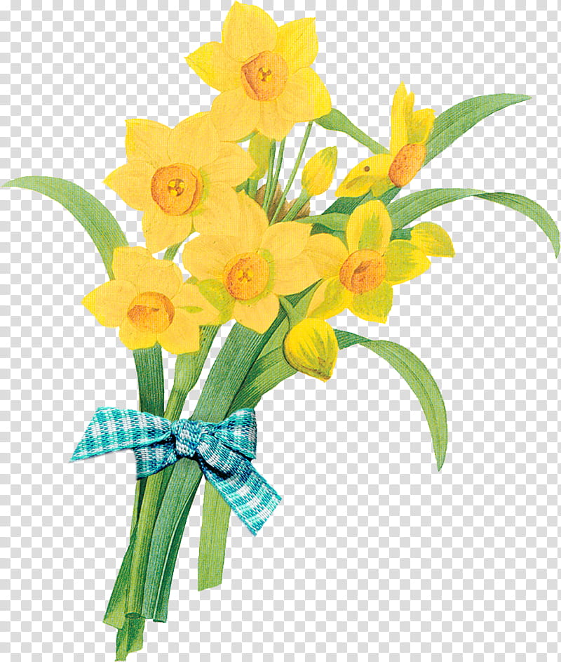 Floral Flower, Printing, Antique, Wild Daffodil, Floral Design, Cut Flowers, Bouquet, Plant transparent background PNG clipart