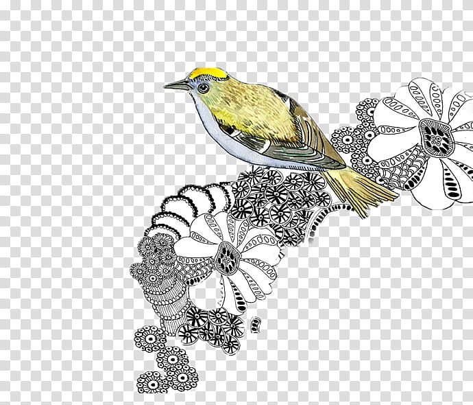 Vintage Birds, yellow bird illustration transparent background PNG clipart