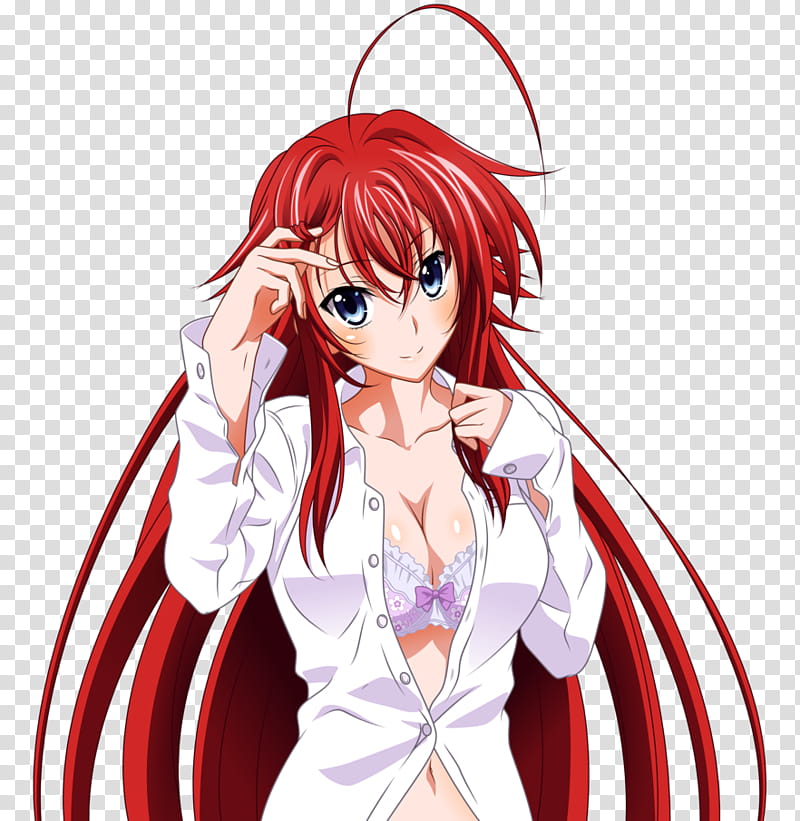 Rias Gremory, High School DxD, Rias Gremory character transparent background PNG clipart