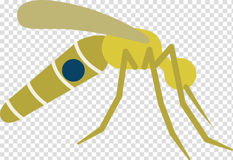 Web Design, Mosquito, , Insect, Disease, Zika Virus, Infection, Fly transparent background PNG clipart