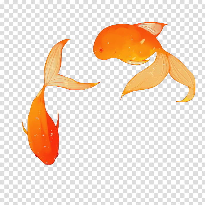 restart,  gold fishes transparent background PNG clipart
