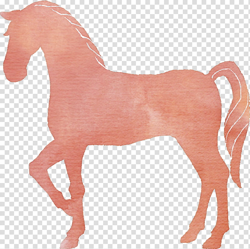 Medicine, Acupuncture, Therapy, Mustang, Surgery, Mane, Stallion, Rein transparent background PNG clipart