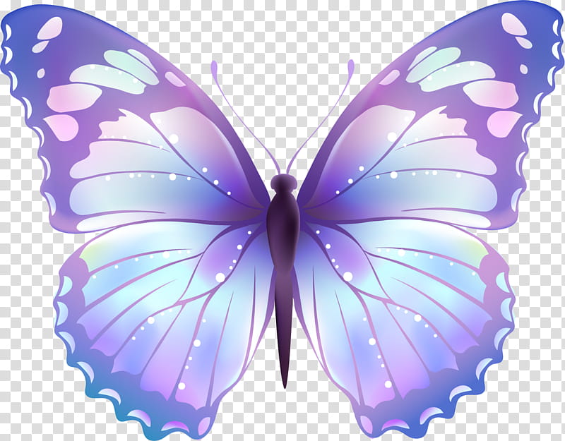 purple and white butterfly painting transparent background PNG clipart