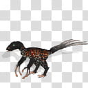 Spore creature Epidexipteryx hui male, black and brown dinosaur illustration transparent background PNG clipart