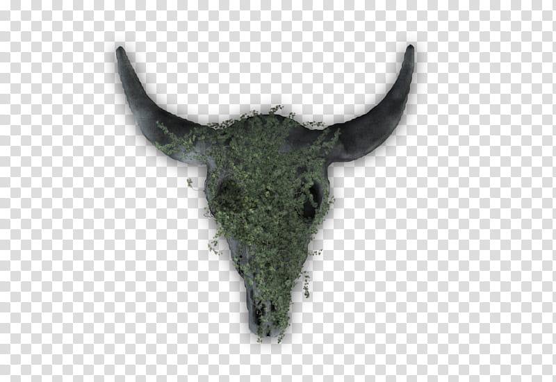 RPG Map Elements , black animal skull transparent background PNG clipart
