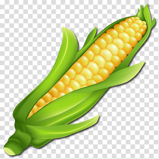 Candy Corn, Corn On The Cob, White Corn, Sweet Corn, Corn Kernel, Corncob, Food, Vegetable transparent background PNG clipart