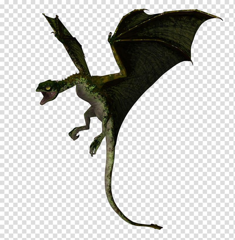 E S Iuvenis Dragon, green and white dragon illustration transparent background PNG clipart