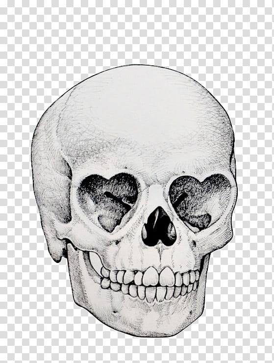 Human Skull Drawing, Eye, Skeleton, Skull And Crossbones, Heart, Skull Art, Calavera, Face transparent background PNG clipart