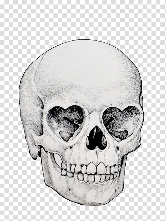 Human Skull Drawing, Eye, Skeleton, Skull And Crossbones, Heart, Skull Art,  Calavera, Face transparent background PNG clipart