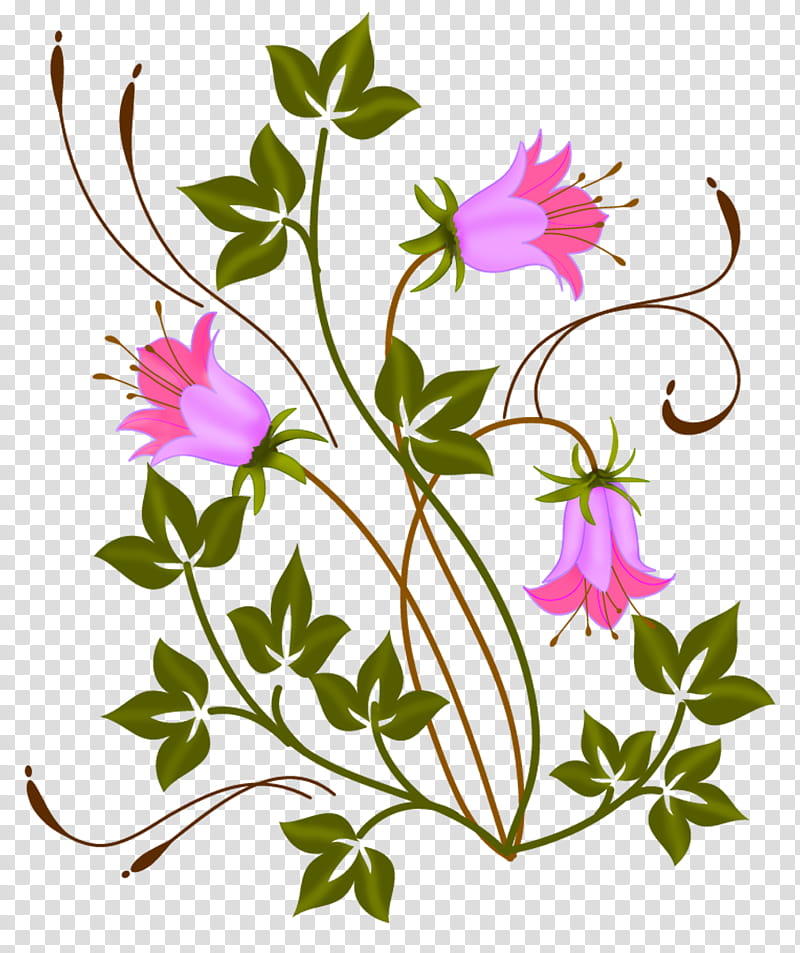 Flowers, pink flowers with green leaves illustration transparent background PNG clipart