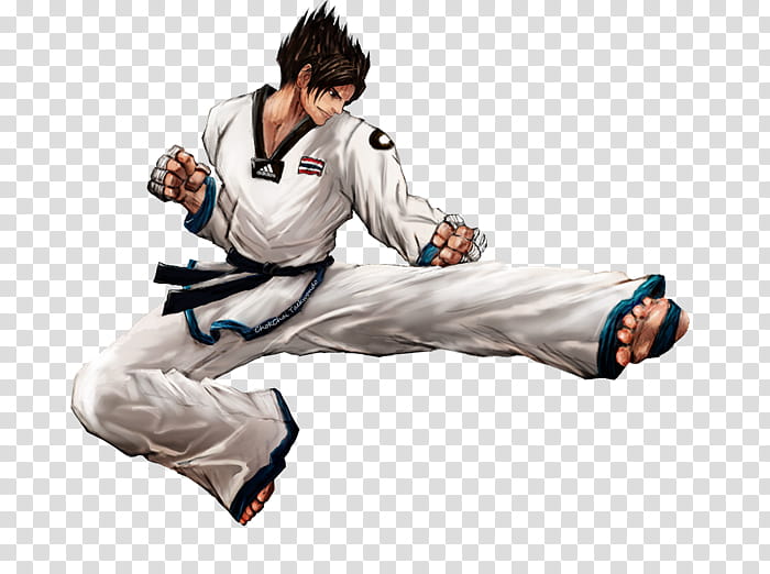 Taekwondo, Dobok, Karate, Hapkido, Martial Arts, Judo, Taekkyeon, Jujutsu transparent background PNG clipart