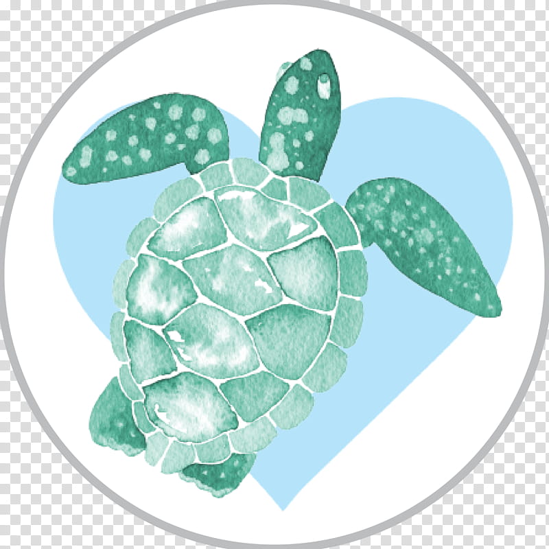 Sea Turtle, Watercolor Painting, Drawing, Fotolia, Green Sea Turtle, Turquoise, Aqua, Pineapple transparent background PNG clipart