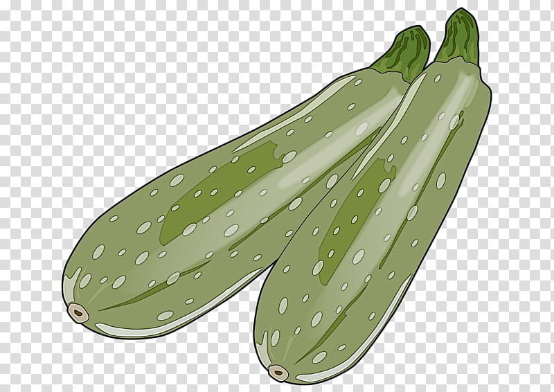 green plant leaf cucumber vegetable, Zucchini, Cucumis, Luffa, Cucumber Gourd And Melon Family, Food transparent background PNG clipart