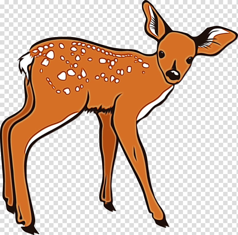deer roe deer wildlife fawn animal figure, Watercolor, Paint, Wet Ink, Snout transparent background PNG clipart