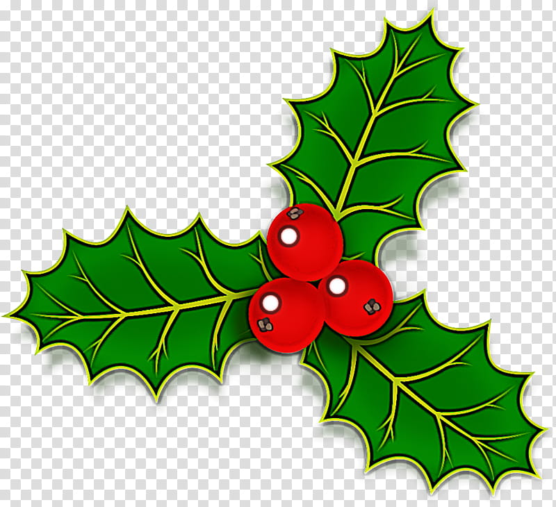 Holly, Leaf, American Holly, Grape Leaves, Plant, Tree, Plane, Hollyleaf Cherry transparent background PNG clipart