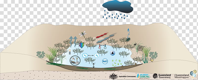 Rain, Acid Rain, Symbol, Area transparent background PNG clipart